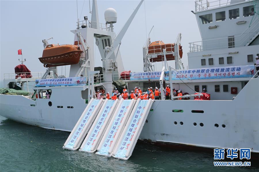 （新華全媒頭條·圖文互動(dòng)）（3）溫故知新，開辟未來(lái)——第八次中日韓領(lǐng)導(dǎo)人會(huì)議解讀