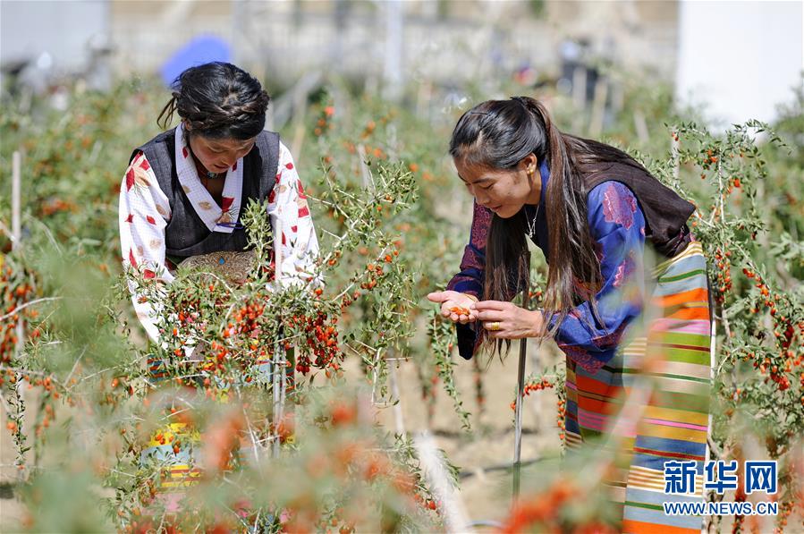 (新華全媒頭條·兩會特別報道·圖文互動)(7)在推進高質量發(fā)展中創(chuàng)造廣闊空間——從全國兩會看奮進中國的發(fā)展機遇