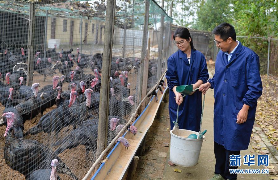 (新華全媒頭條·兩會特別報道·圖文互動)(4)凝聚不懈奮斗的磅礴力量——從全國兩會看奮進中國的奮斗姿態(tài)