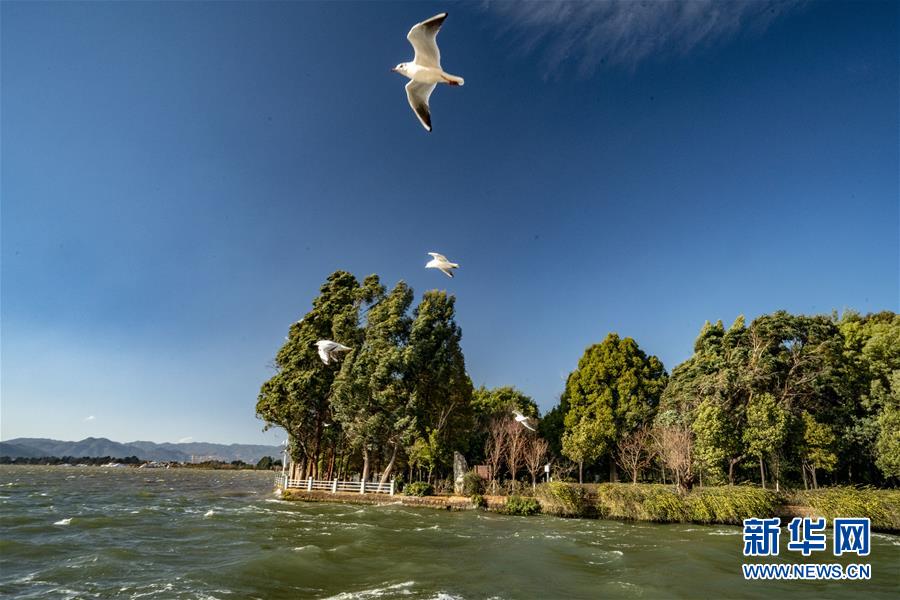 (圖文互動(dòng))(7)跨越發(fā)展起宏圖 信心滿懷著華章——習(xí)近平總書(shū)記考察云南回訪記