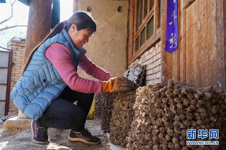 （聚焦疫情防控·圖文互動(dòng)）（3）一心防疫，一心脫貧——一心村的防疫一天