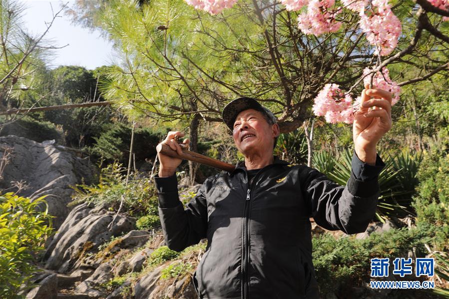 (圖文互動(dòng))(1)湖北巴東迎春農(nóng)場春管忙