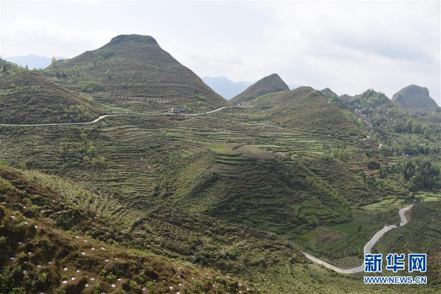(決戰(zhàn)決勝脫貧攻堅·圖文互動)(1)逐項逐戶排查補齊脫貧攻堅“短板”——貴州晴隆縣扶貧一線工作見聞
