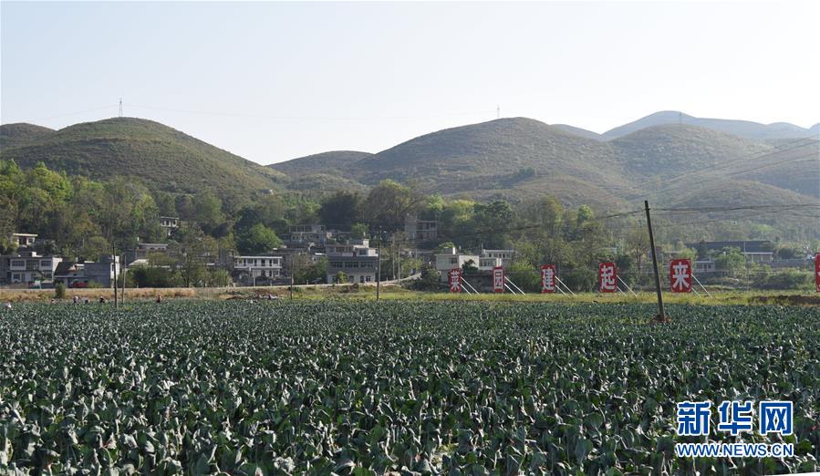 (決戰(zhàn)決勝脫貧攻堅·圖文互動)(2)逐項逐戶排查補齊脫貧攻堅“短板”——貴州晴隆縣扶貧一線工作見聞