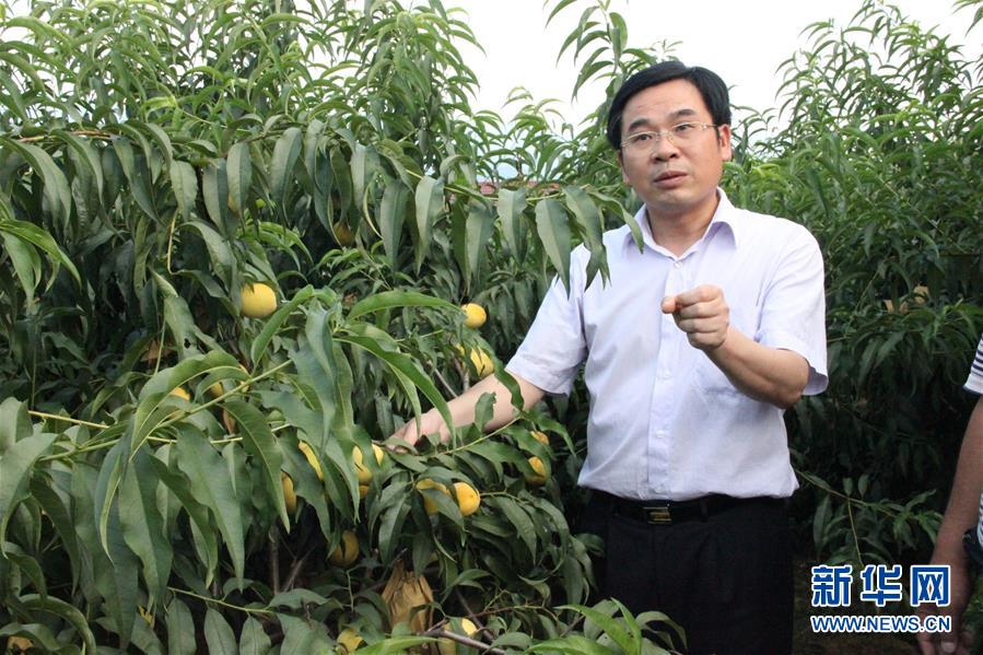 （圖文互動(dòng)）（2）&ldquo;為脫貧而來(lái)，為脫貧而去&rdquo;&mdash;&mdash;追記湖南炎陵縣委原書記黃詩(shī)燕 