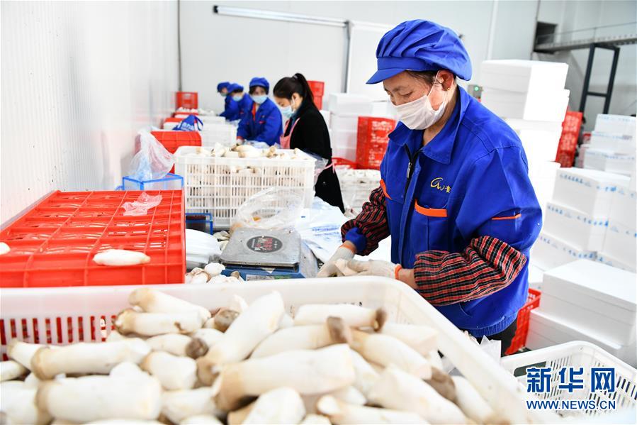 (決戰(zhàn)決勝脫貧攻堅(jiān)·圖文互動(dòng))(2)補(bǔ)短板 促就業(yè) 穩(wěn)增收——貴州向脫貧“硬骨頭”發(fā)起總攻