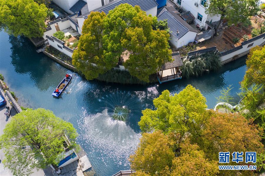 (新華全媒頭條·圖文互動(dòng))(6)從“藍(lán)圖規(guī)劃”到美麗“現(xiàn)實(shí)畫卷”——長三角一體化高質(zhì)量發(fā)展一年間