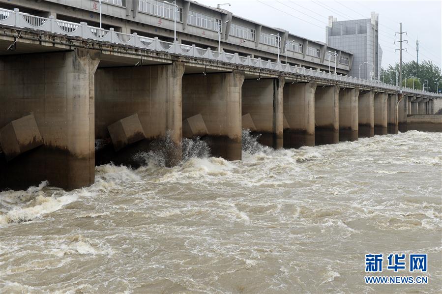 (圖文互動(dòng))(1)“以萬全準(zhǔn)備防萬一發(fā)生”——安徽沿淮地區(qū)防汛備汛見聞