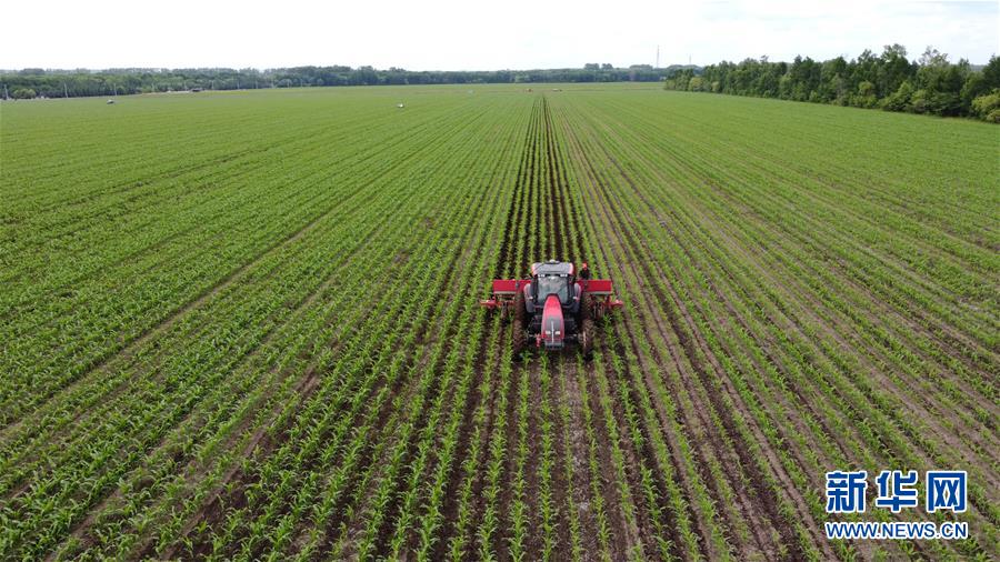 (在習(xí)近平新時(shí)代中國(guó)特色社會(huì)主義思想指引下——新時(shí)代新作為新篇章·習(xí)近平總書記關(guān)切事·圖文互動(dòng))(5)讓每一寸耕地都成為豐收的沃土——我國(guó)加強(qiáng)耕地保護(hù)推進(jìn)“藏糧于地”