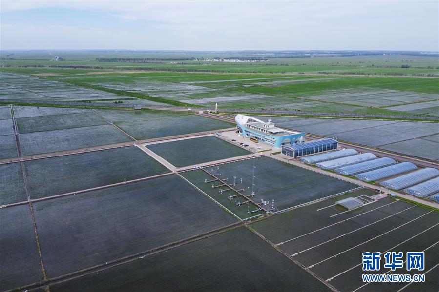 (走向我們的小康生活·圖文互動(dòng))(3)端牢“中國(guó)飯碗” 播種綠色小康