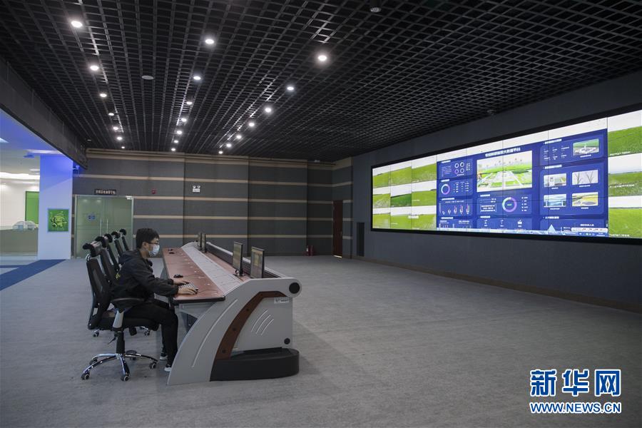 (走向我們的小康生活·圖文互動(dòng))(8)端牢“中國(guó)飯碗” 播種綠色小康