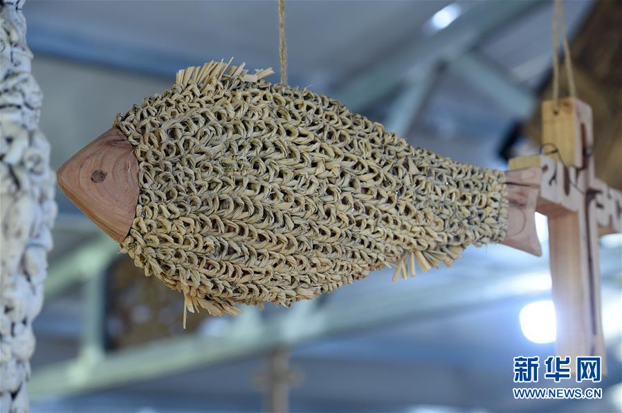  （新華全媒頭條·圖文互動）（6）青春，在希望的田野上——大別山區(qū)尋訪“城歸”大學畢業(yè)生