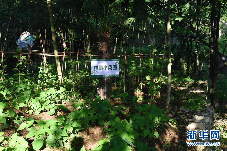 (鄉(xiāng)村振興·圖文互動)(5)海壩成“畫”