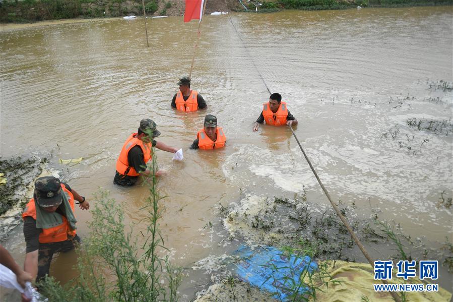 （防汛抗洪·圖文互動）（1）“大堤上有了‘導(dǎo)彈綠’，我們老百姓安了心”