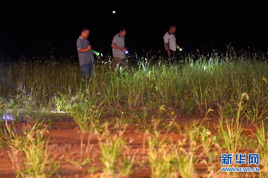 （防汛抗洪·圖文互動(dòng)）（2）“保衛(wèi)家園，誰(shuí)都不能是旁觀者”——夜訪洞庭湖大堤防汛一線