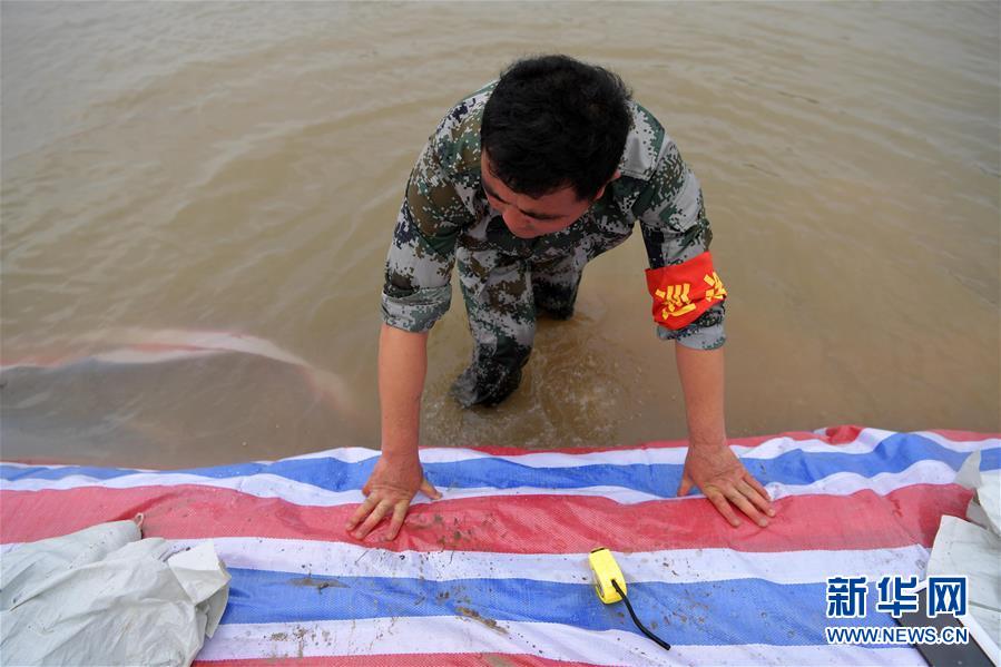(新華全媒頭條·圖文互動)(5)鏖戰(zhàn)江新洲