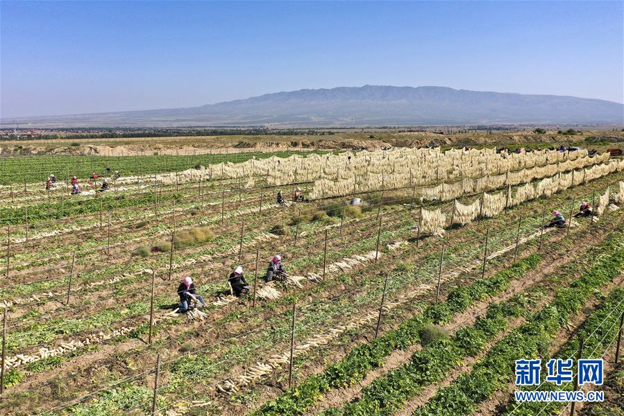 (新華全媒頭條·走向我們的小康生活·圖文互動)(8)23萬人的命運(yùn)轉(zhuǎn)折——我國最大易地生態(tài)移民安置區(qū)的脫貧密碼