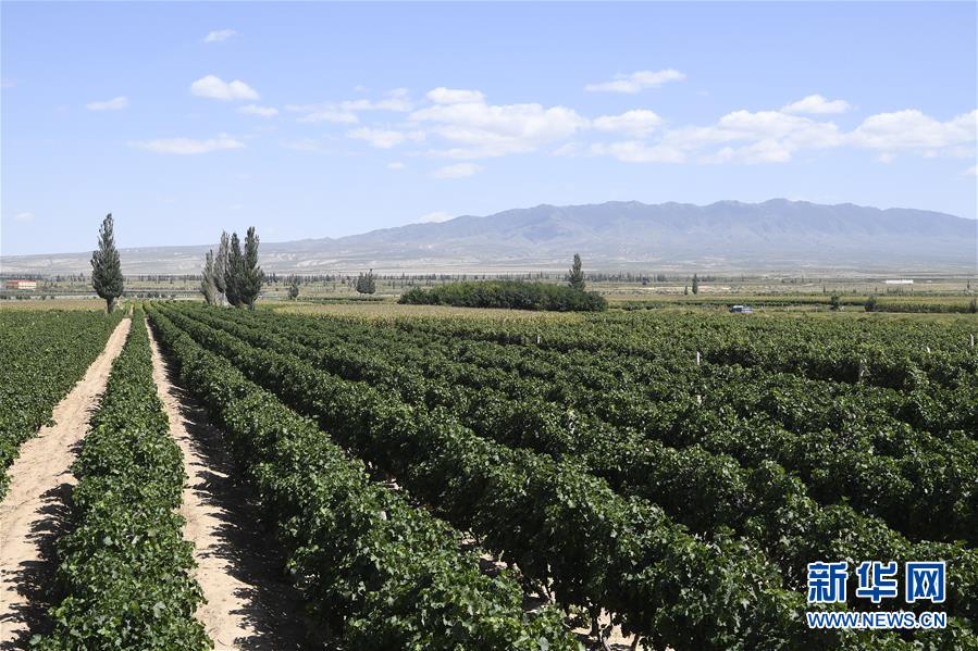 (新華全媒頭條·走向我們的小康生活·圖文互動)(9)23萬人的命運(yùn)轉(zhuǎn)折——我國最大易地生態(tài)移民安置區(qū)的脫貧密碼