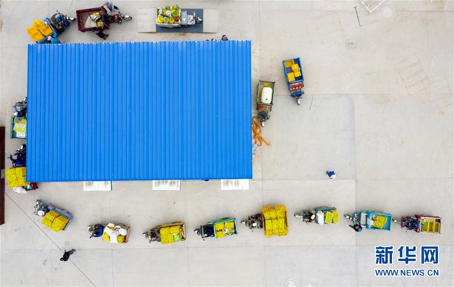 (新華全媒頭條·走向我們的小康生活·圖文互動)(10)23萬人的命運(yùn)轉(zhuǎn)折——我國最大易地生態(tài)移民安置區(qū)的脫貧密碼