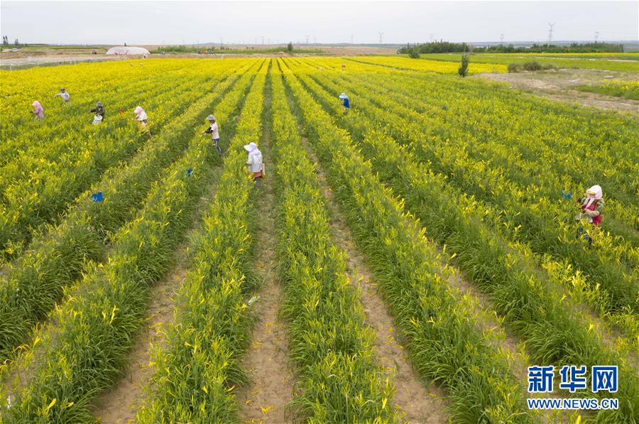 (新華全媒頭條·走向我們的小康生活·圖文互動)(11)23萬人的命運(yùn)轉(zhuǎn)折——我國最大易地生態(tài)移民安置區(qū)的脫貧密碼