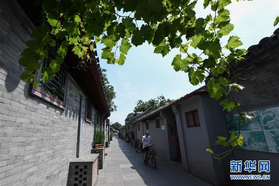 （走向我們的小康生活·圖文互動）（1）小橋、流水、書香、人家——老北京胡同里的恬靜棲居