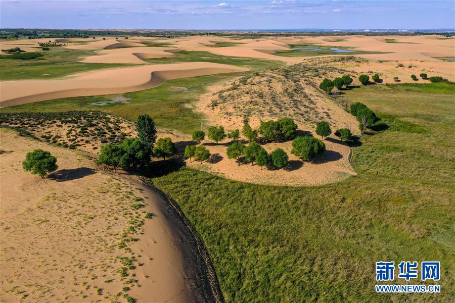 （在習(xí)近平新時代中國特色社會主義思想指引下——新時代新作為新篇章·習(xí)近平總書記關(guān)切事·圖文互動）（10）綠意，在黃沙中鋪展——我國防沙治沙紀實