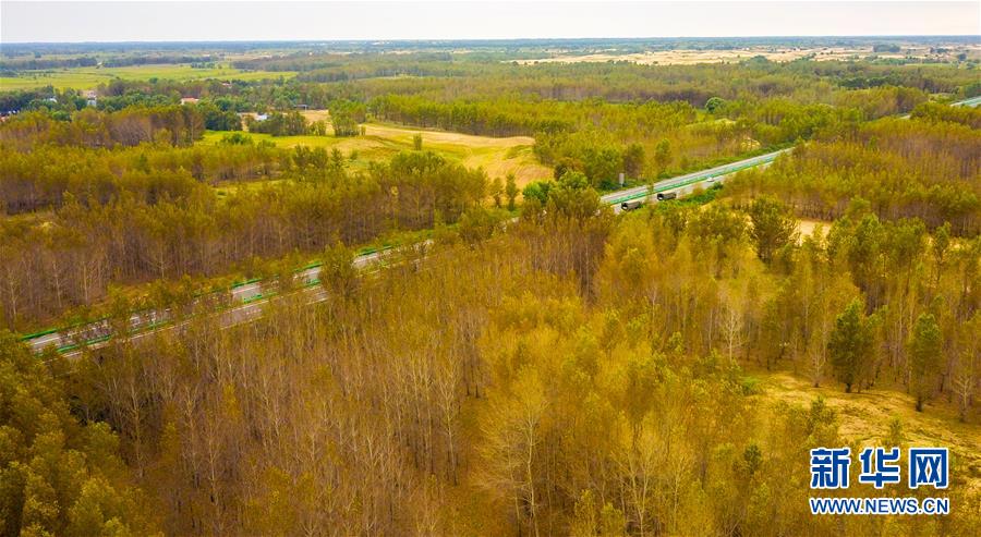 （在習(xí)近平新時代中國特色社會主義思想指引下——新時代新作為新篇章·習(xí)近平總書記關(guān)切事·圖文互動）（3）綠意，在黃沙中鋪展——我國防沙治沙紀實
