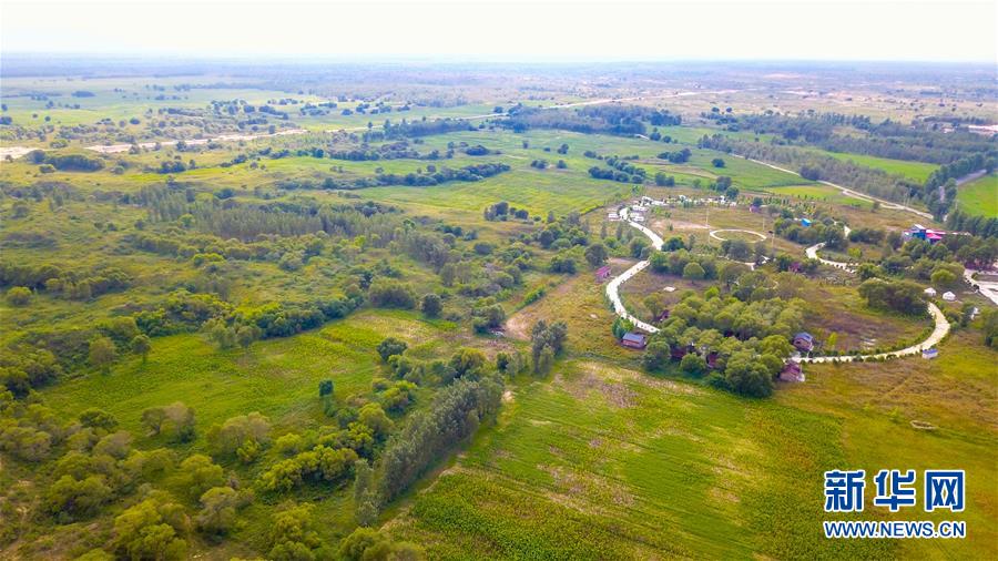 （在習(xí)近平新時代中國特色社會主義思想指引下——新時代新作為新篇章·習(xí)近平總書記關(guān)切事·圖文互動）（1）綠意，在黃沙中鋪展——我國防沙治沙紀實