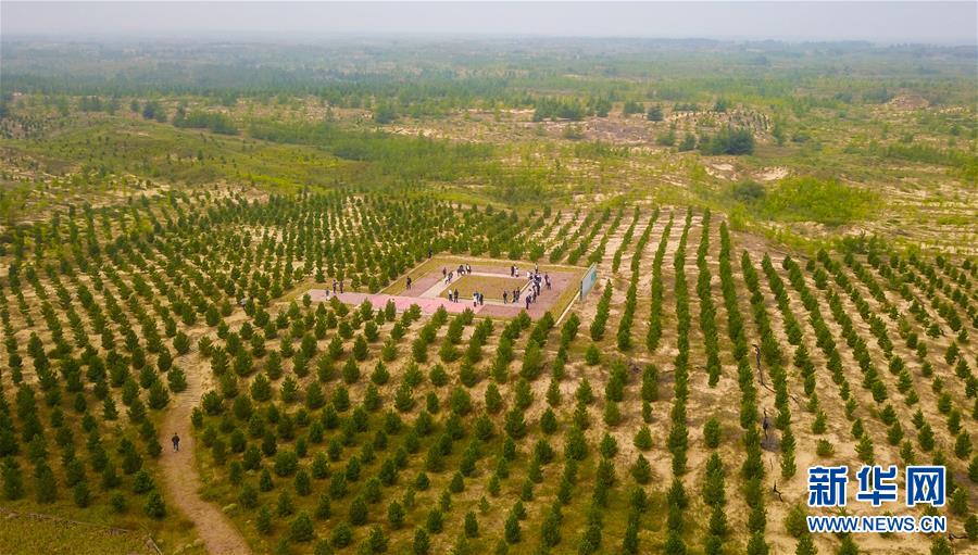 （在習(xí)近平新時代中國特色社會主義思想指引下——新時代新作為新篇章·習(xí)近平總書記關(guān)切事·圖文互動）（2）綠意，在黃沙中鋪展——我國防沙治沙紀實