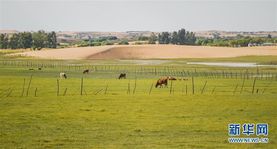 （在習(xí)近平新時代中國特色社會主義思想指引下——新時代新作為新篇章·習(xí)近平總書記關(guān)切事·圖文互動）（9）綠意，在黃沙中鋪展——我國防沙治沙紀實