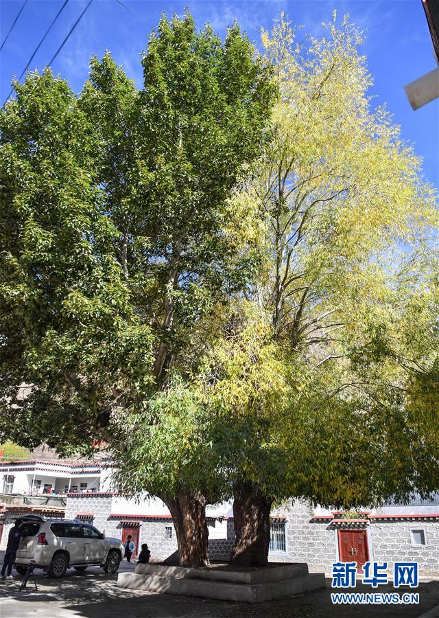 (圖文互動(dòng))(2)歷史遺跡的述說——西藏昌都源遠(yuǎn)流長的民族團(tuán)結(jié)故事