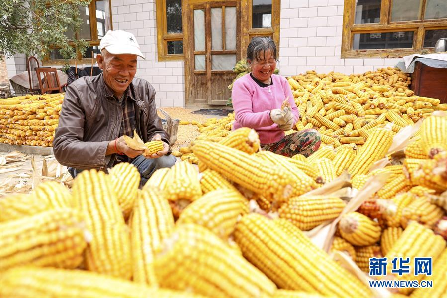 (全面建成小康社會“百城千縣萬村調(diào)研行”·圖文互動)(4)寧夏華寺村:做活“土”文章 村民享小康