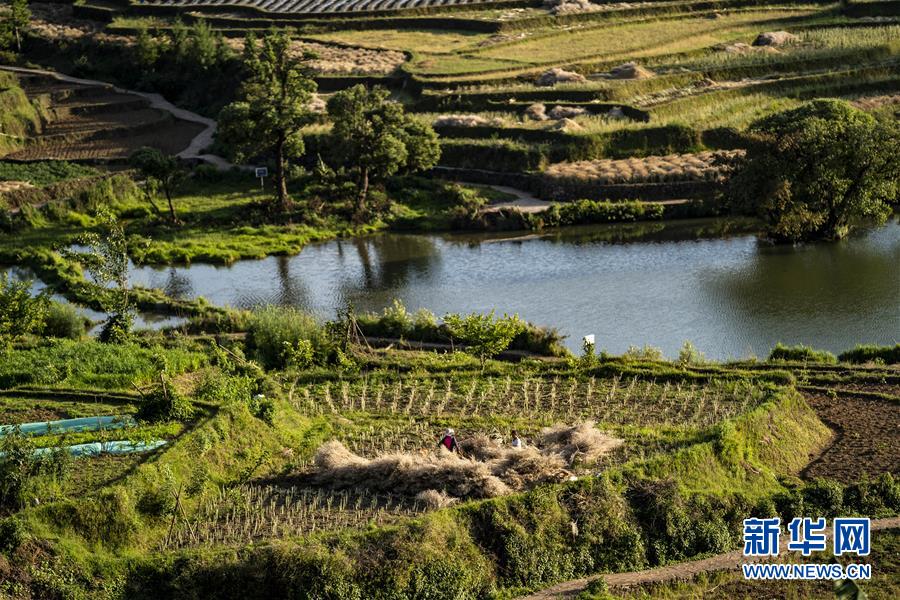 (集中連片特困地區(qū)貧困村調研行·圖文互動)(4)阿佤人民再唱新歌——云南騰沖市三家村中寨司莫拉佤族村脫貧調查