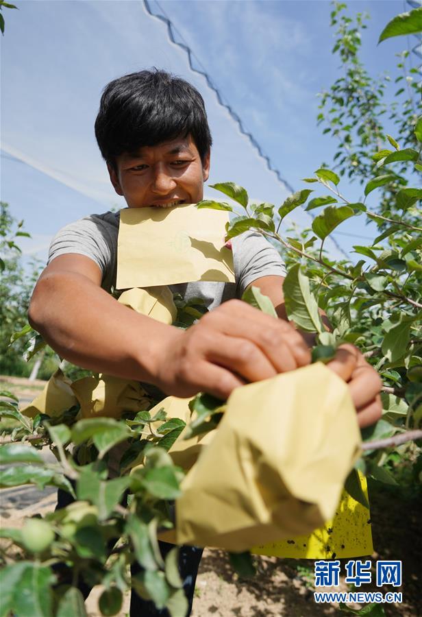 （習(xí)近平的小康故事·圖文互動(dòng)）（2）“我很期盼的一件事，就是讓鄉(xiāng)親們飽餐一頓肉”——習(xí)近平和脫貧攻堅(jiān)的故事