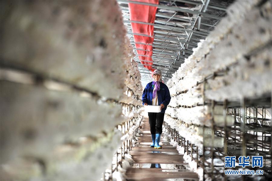 （習(xí)近平的小康故事·圖文互動(dòng)）（6）“我很期盼的一件事，就是讓鄉(xiāng)親們飽餐一頓肉”——習(xí)近平和脫貧攻堅(jiān)的故事