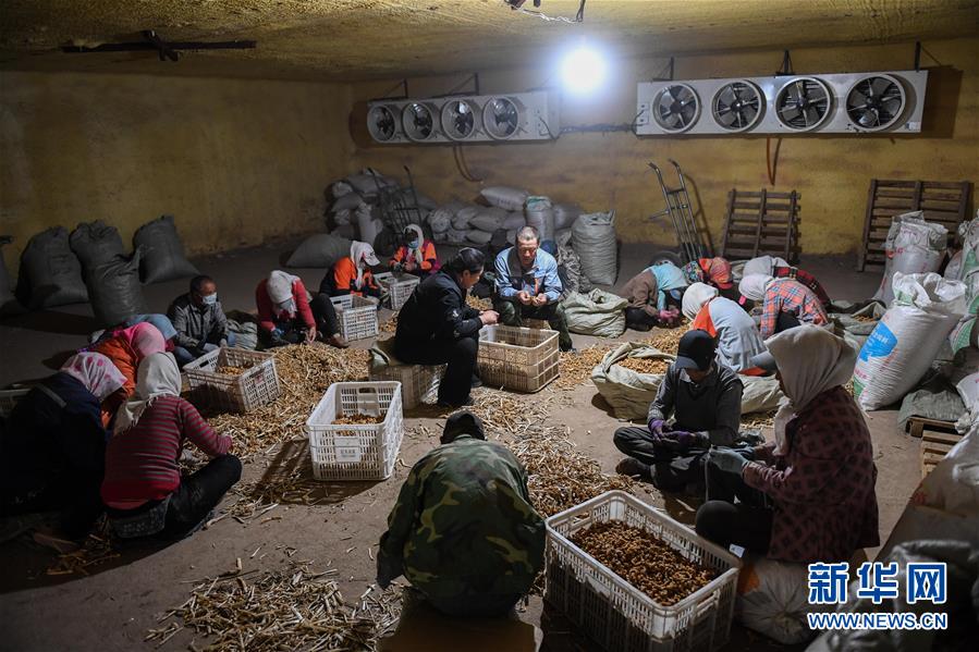 （習(xí)近平的小康故事·圖文互動(dòng)）（8）“我很期盼的一件事，就是讓鄉(xiāng)親們飽餐一頓肉”——習(xí)近平和脫貧攻堅(jiān)的故事