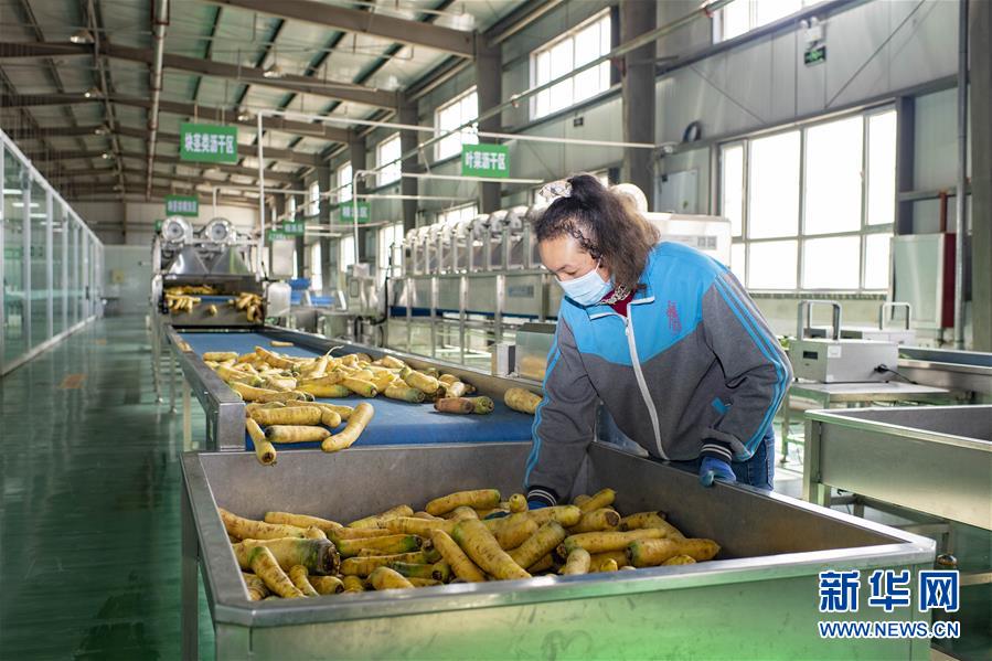 (聚焦疫情防控·圖文互動(dòng))(2)把握先機(jī) 應(yīng)對(duì)有序——新疆疏附縣全力阻斷新冠肺炎病毒傳播