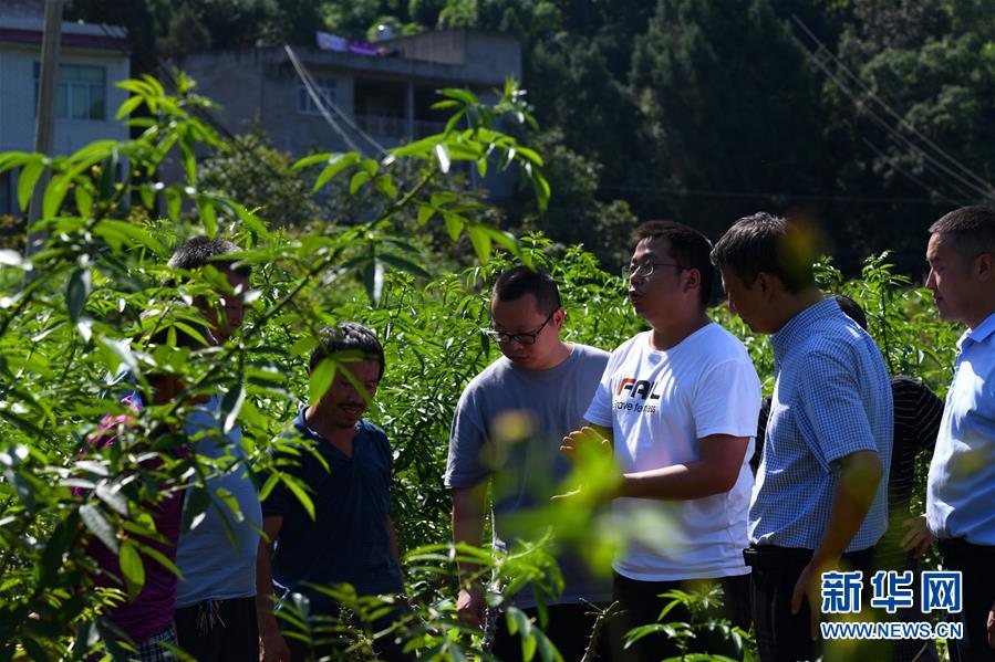 （決戰(zhàn)決勝脫貧攻堅(jiān)·圖文互動(dòng)）（3）“堵槍眼”的脫貧戰(zhàn)怎么打？——繼光村見聞