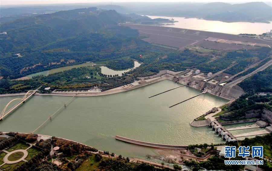 (新華全媒頭條·圖文互動)(1)從“四亂”突出到生態(tài)修復(fù) 黃河漸成中原“綠飄帶”