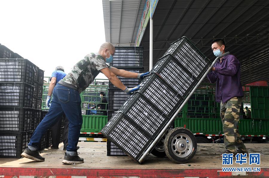 (新華全媒頭條·圖文互動)(10)暢通雙循環(huán) 共享大市場——從東博會看中國新發(fā)展格局