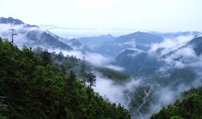 廣東乳源、廣東乳陽(yáng)林場(chǎng)、云南華寧葫蘆口電站