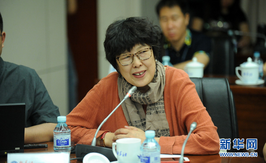 陳小波：新華人對歷史的擔(dān)當(dāng)、情感與良知