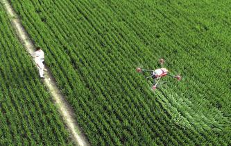 江蘇海安：&ldquo;智慧農(nóng)業(yè)&rdquo;促鄉(xiāng)村振興