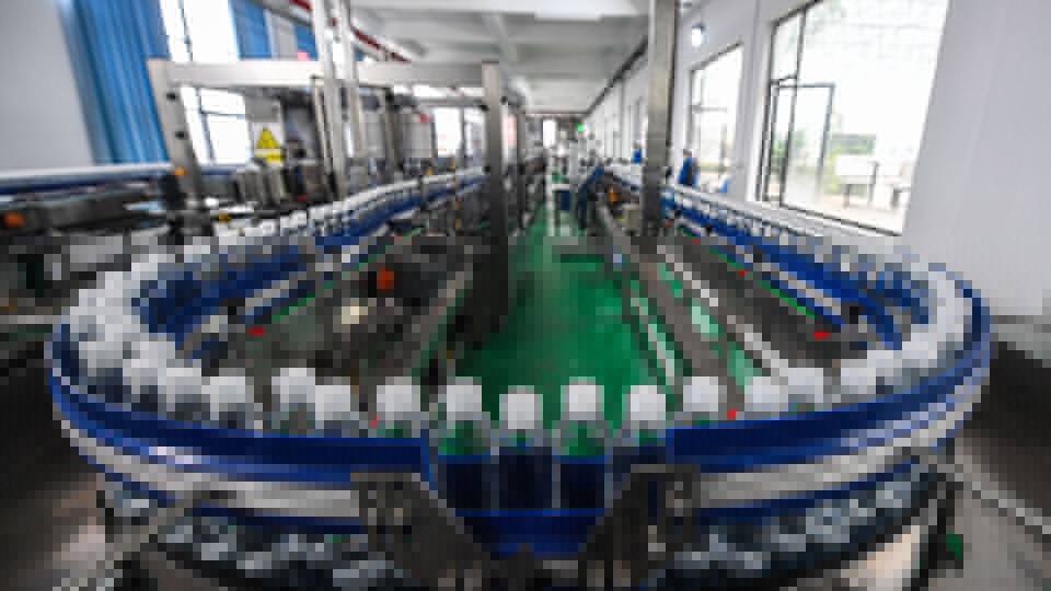 浙江淳安：依托綠水青山 推進(jìn)百億“水產(chǎn)業(yè)”發(fā)展