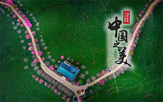 江山如畫，想把春的故事講給你聽