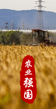 農(nóng)業(yè)強(qiáng)國(guó)是社會(huì)主義現(xiàn)代化強(qiáng)國(guó)的根基。