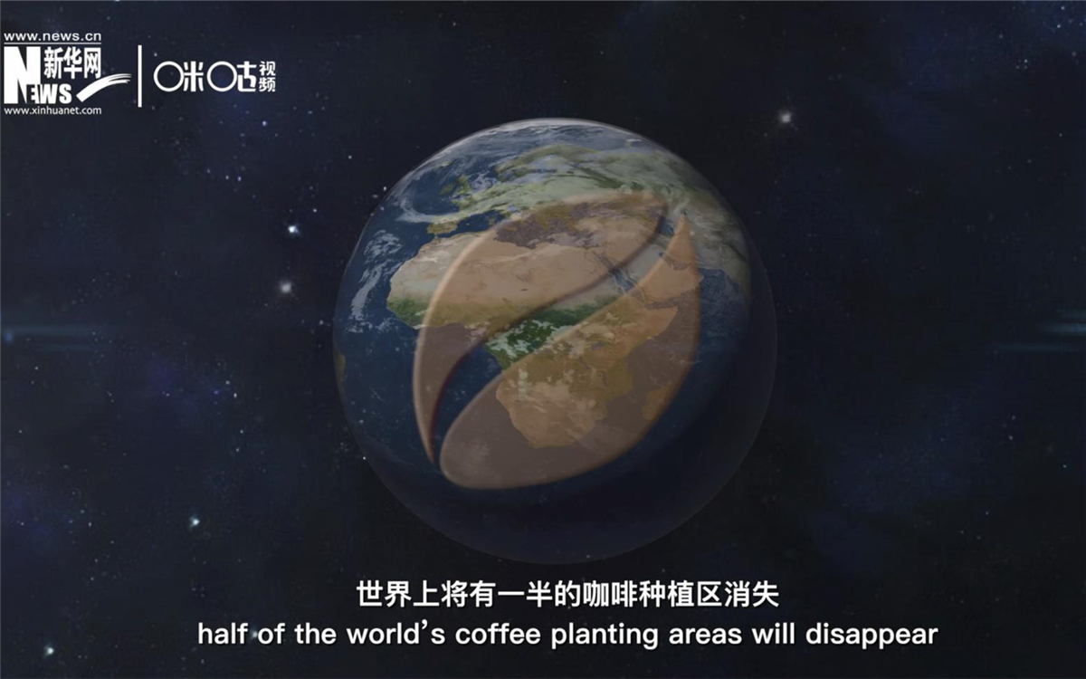 科學(xué)家預(yù)測到三十年后，世界上將有一半的咖啡種植區(qū)消失