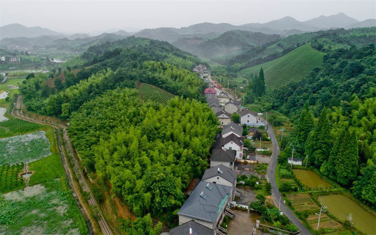 從2003年起，浙江省開展了&ldquo;千村示范、萬村整治&rdquo;工程