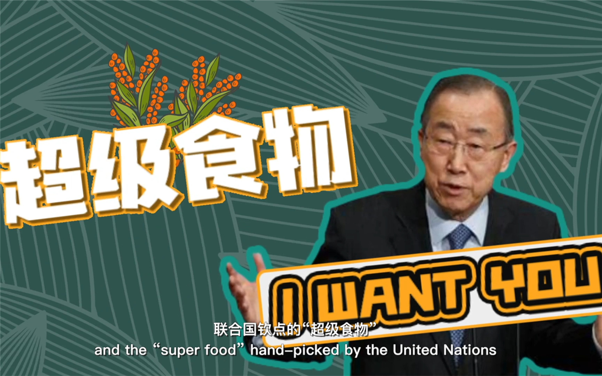 聯(lián)合國(guó)將藜麥視為抗擊饑餓的&ldquo;超級(jí)食物&rdquo;，大力推廣