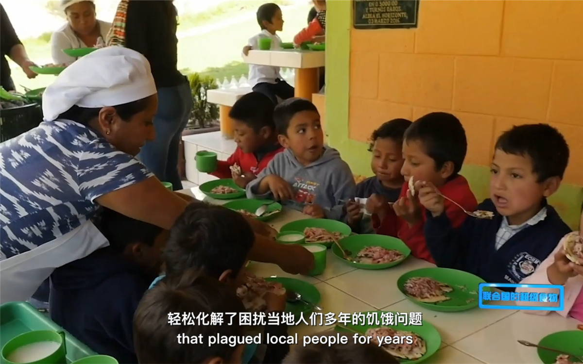 藜麥的蹤跡遍布北美、歐洲、亞洲和非洲多地
